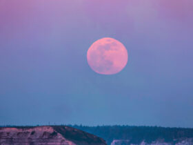 The Full Pink Moon Arrives This Week—Here's What It Means For Relationships