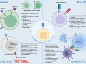 The TCR in CAR T cell therapy: use it or lose it?