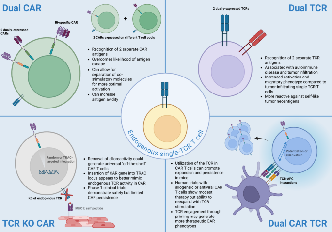 The TCR in CAR T cell therapy: use it or lose it?