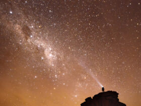 These 3 Zodiac Signs Will Be Most Impacted By The New Moon In Pisces