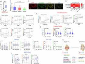 Tofacitinib repairs inflammation and mitochondrial dysregulation in GM-CSF-reprogrammed RA macrophages
