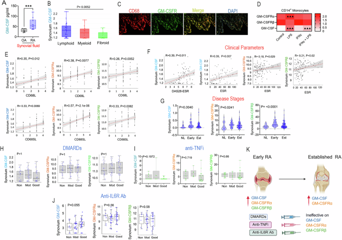 Tofacitinib repairs inflammation and mitochondrial dysregulation in GM-CSF-reprogrammed RA macrophages