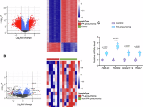 Tudor domain-containing protein 9-targeting siRNA nanoparticles alleviate Pseudomonas aeruginosa lung injury in preclinical models by promoting neutrophil cuproptosis