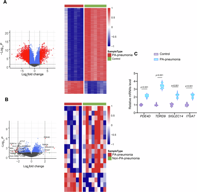 Tudor domain-containing protein 9-targeting siRNA nanoparticles alleviate Pseudomonas aeruginosa lung injury in preclinical models by promoting neutrophil cuproptosis