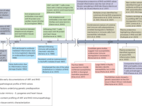 Valve biology and rheumatic heart disease pathogenesis