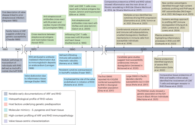 Valve biology and rheumatic heart disease pathogenesis