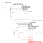 Venezuelan equine encephalitis virus: novel live-attenuated vaccines for inducing complete protective immunity