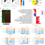 Weaning drives microbiome-mediated epigenetic regulation to shape immune memory in mice