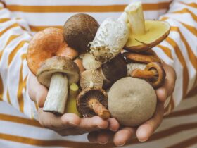 What Happens to Your Blood Pressure When You Eat Mushrooms Regularly