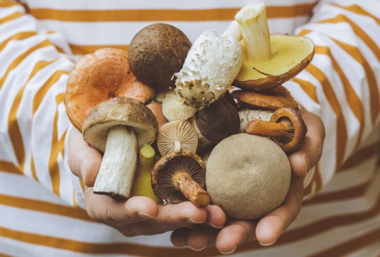 What Happens to Your Blood Pressure When You Eat Mushrooms Regularly