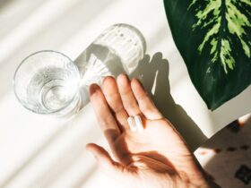 What Happens to Your Brain Function When You Take L-Theanine Every Day