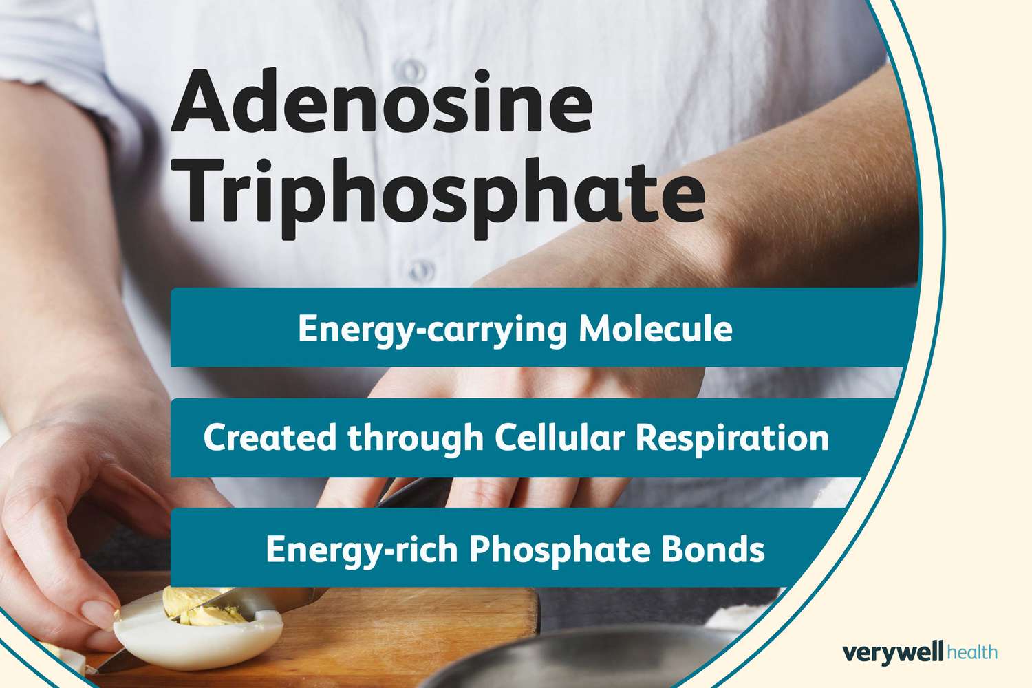 What Is ATP? How The Body Uses This Important Molecule