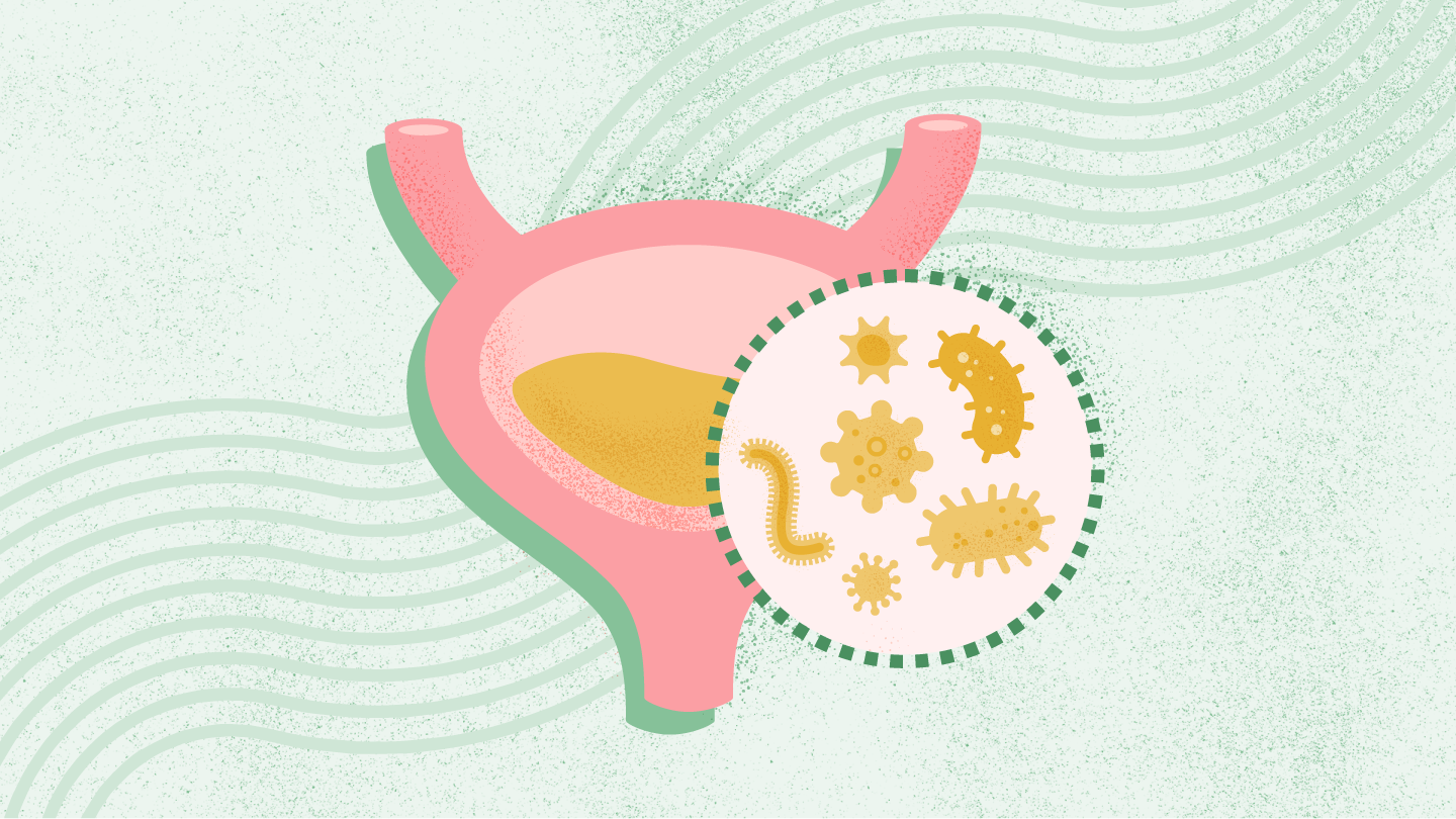 What Is a Urinary Tract Infection (UTI)?