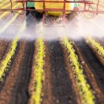 What to Know About Glyphosate, the Weed Killer Potentially Linked to Cancer