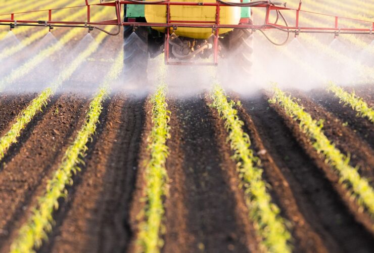 What to Know About Glyphosate, the Weed Killer Potentially Linked to Cancer