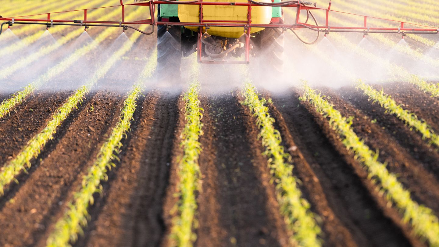 What to Know About Glyphosate, the Weed Killer Potentially Linked to Cancer