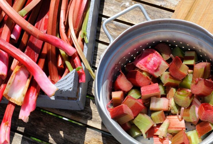 What's In Season - April