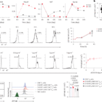 ZFP148 is a transcriptional repressor of cytolytic effector CD8+ T cell differentiation