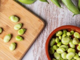 13 health benefits of broad beans (fava beans)