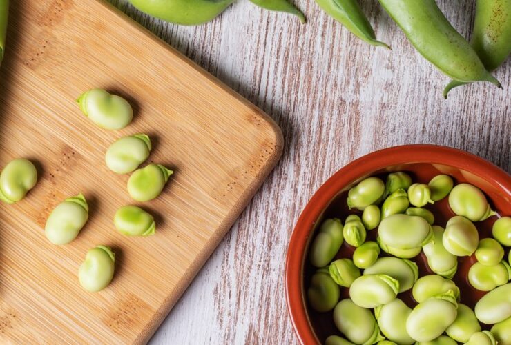 13 health benefits of broad beans (fava beans)