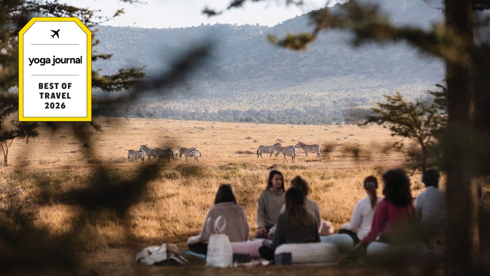 Yoga retreats alongside a herd of zebra in the Enasoit Conservancy