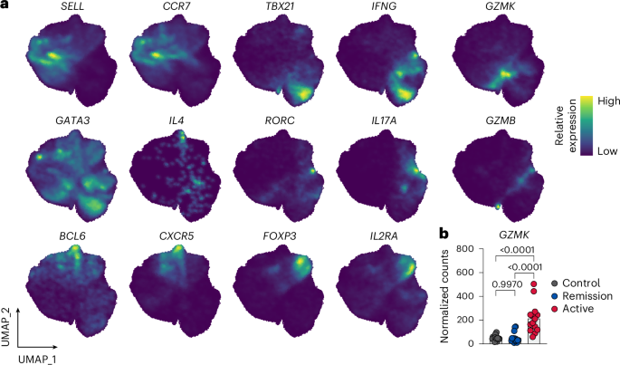 A unique CD4⁺ T cell subset expressing granzyme K is regulated by transcription factor EOMES and important for T cell-mediated intestinal inflammation