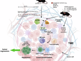 ALPK1 agonists: a new strategy for cancer immunotherapy