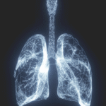 Ageing tissue fibroblasts support lung inflammaging
