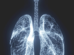 Ageing tissue fibroblasts support lung inflammaging