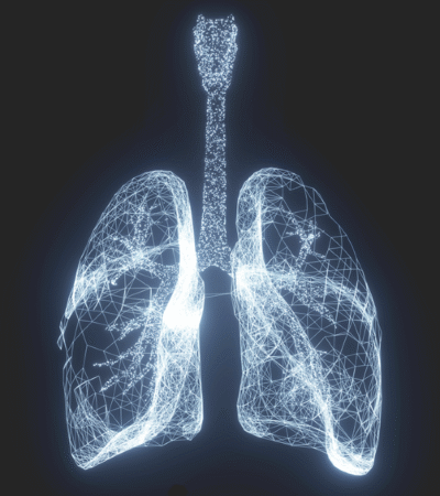 Ageing tissue fibroblasts support lung inflammaging