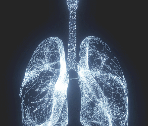 Ageing tissue fibroblasts support lung inflammaging