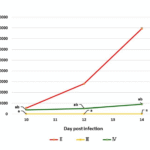 Anti-trypanosomal, anti-inflammatory, and neuroprotective effects of Cichorium intybus sesquiterpene lactones in experimental Trypanosoma evansi infection