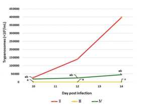 Anti-trypanosomal, anti-inflammatory, and neuroprotective effects of Cichorium intybus sesquiterpene lactones in experimental Trypanosoma evansi infection