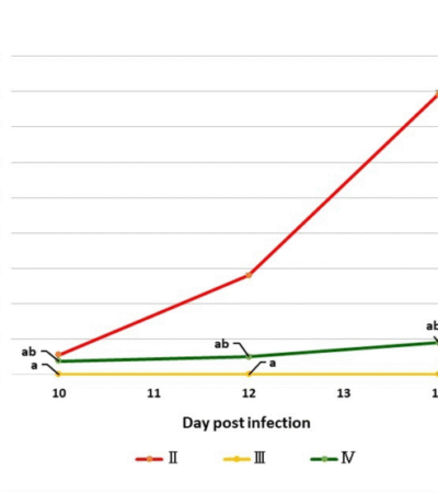 Anti-trypanosomal, anti-inflammatory, and neuroprotective effects of Cichorium intybus sesquiterpene lactones in experimental Trypanosoma evansi infection