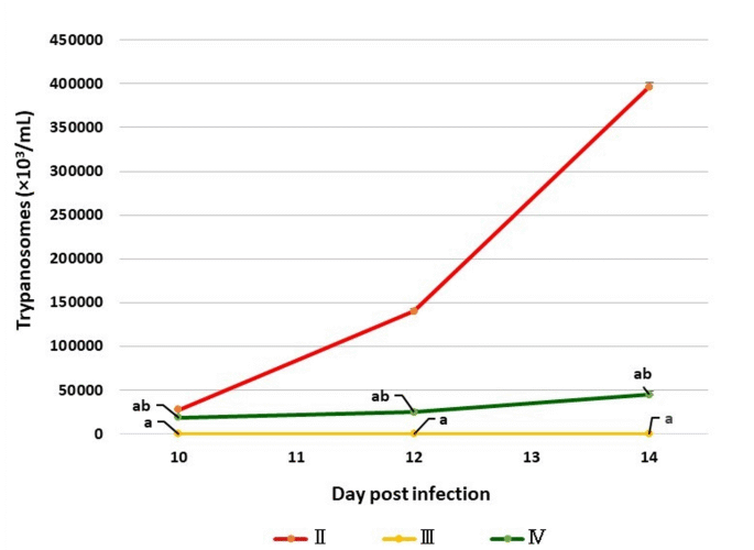Anti-trypanosomal, anti-inflammatory, and neuroprotective effects of Cichorium intybus sesquiterpene lactones in experimental Trypanosoma evansi infection
