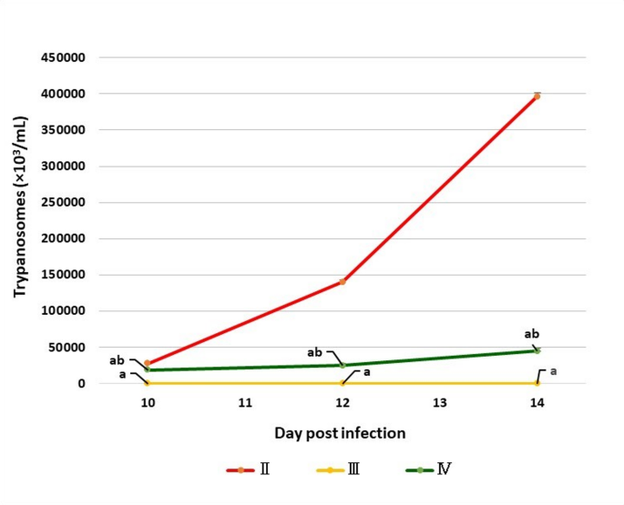 Anti-trypanosomal, anti-inflammatory, and neuroprotective effects of Cichorium intybus sesquiterpene lactones in experimental Trypanosoma evansi infection