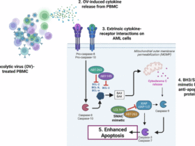 Apoptotic modulators enhance oncolytic virus-induced cytokine killing in acute myeloid leukaemia (AML)