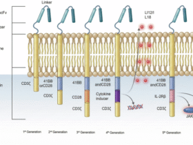 Application of CAR-T therapy in solid tumors: current opportunities and challenges