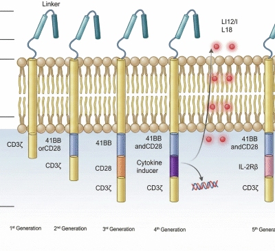 Application of CAR-T therapy in solid tumors: current opportunities and challenges