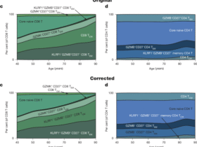 Author Correction: Multi-omic profiling reveals age-related immune dynamics in healthy adults