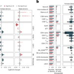 Biological sex shapes divergent trajectories of immune aging