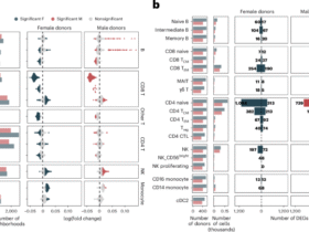 Biological sex shapes divergent trajectories of immune aging