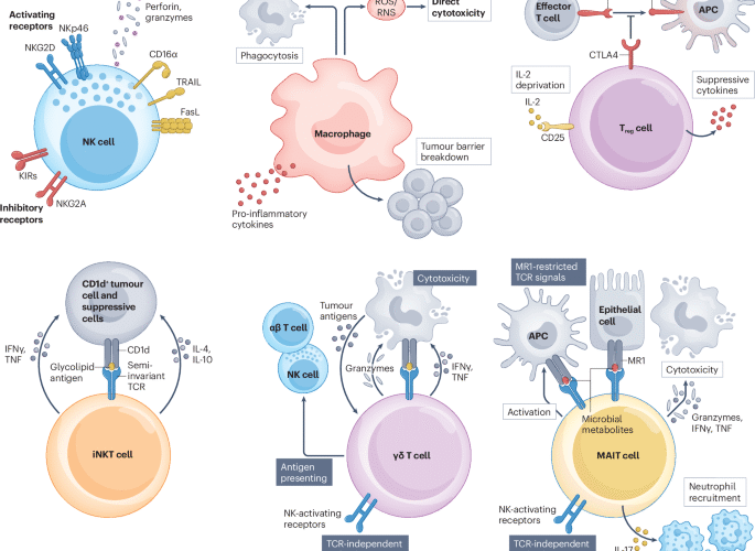 CAR-X cell engineering | Nature Reviews Bioengineering