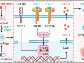 CSF1R inhibitors mitigate CDK4/6 inhibitor-induced immunosuppression to increase antitumor immunity in HR+/HER2− breast cancer