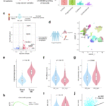 Cortisol-resistant CAR-NK cells overcome steroid-induced immunosuppression in lung cancer