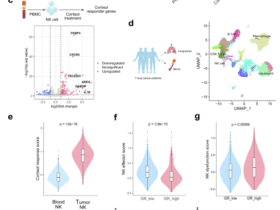 Cortisol-resistant CAR-NK cells overcome steroid-induced immunosuppression in lung cancer