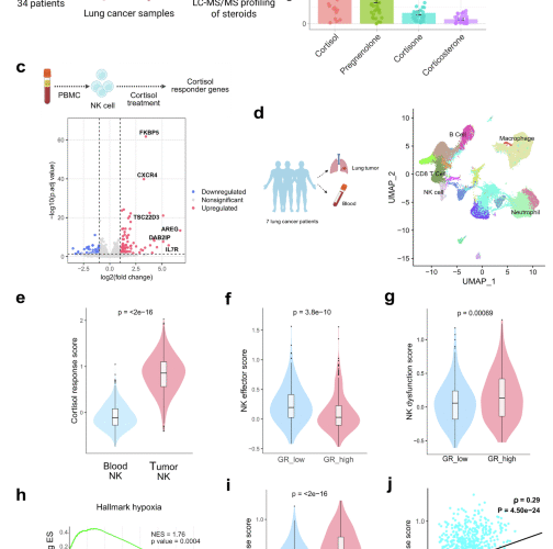 Cortisol-resistant CAR-NK cells overcome steroid-induced immunosuppression in lung cancer