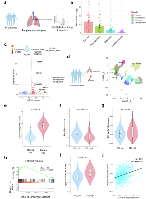 Cortisol-resistant CAR-NK cells overcome steroid-induced immunosuppression in lung cancer