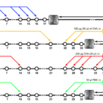 Distinct long-term effects on lung function and airway remodeling in ovalbumin and house dust mite mouse models of experimental asthma