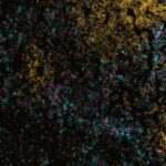 Divergent granulopoiesis at extramedullary sites safeguards antibacterial host defense | Science Immunology